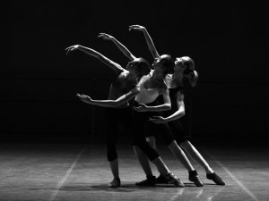 data_art_1589413.jpg